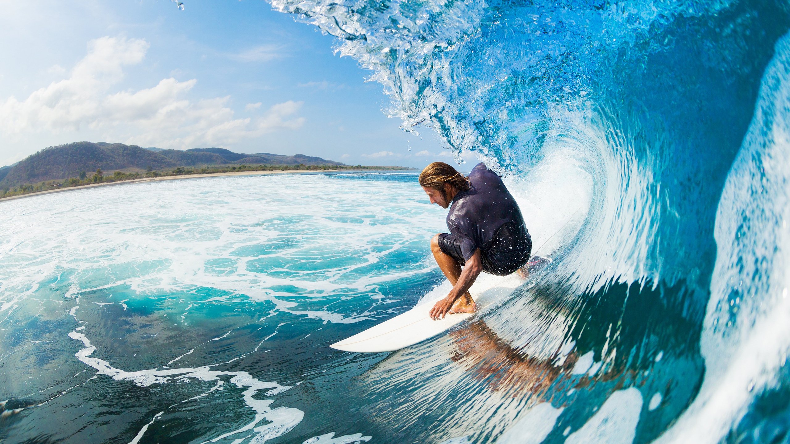 2026体育明星焦点表现，最新体育明星